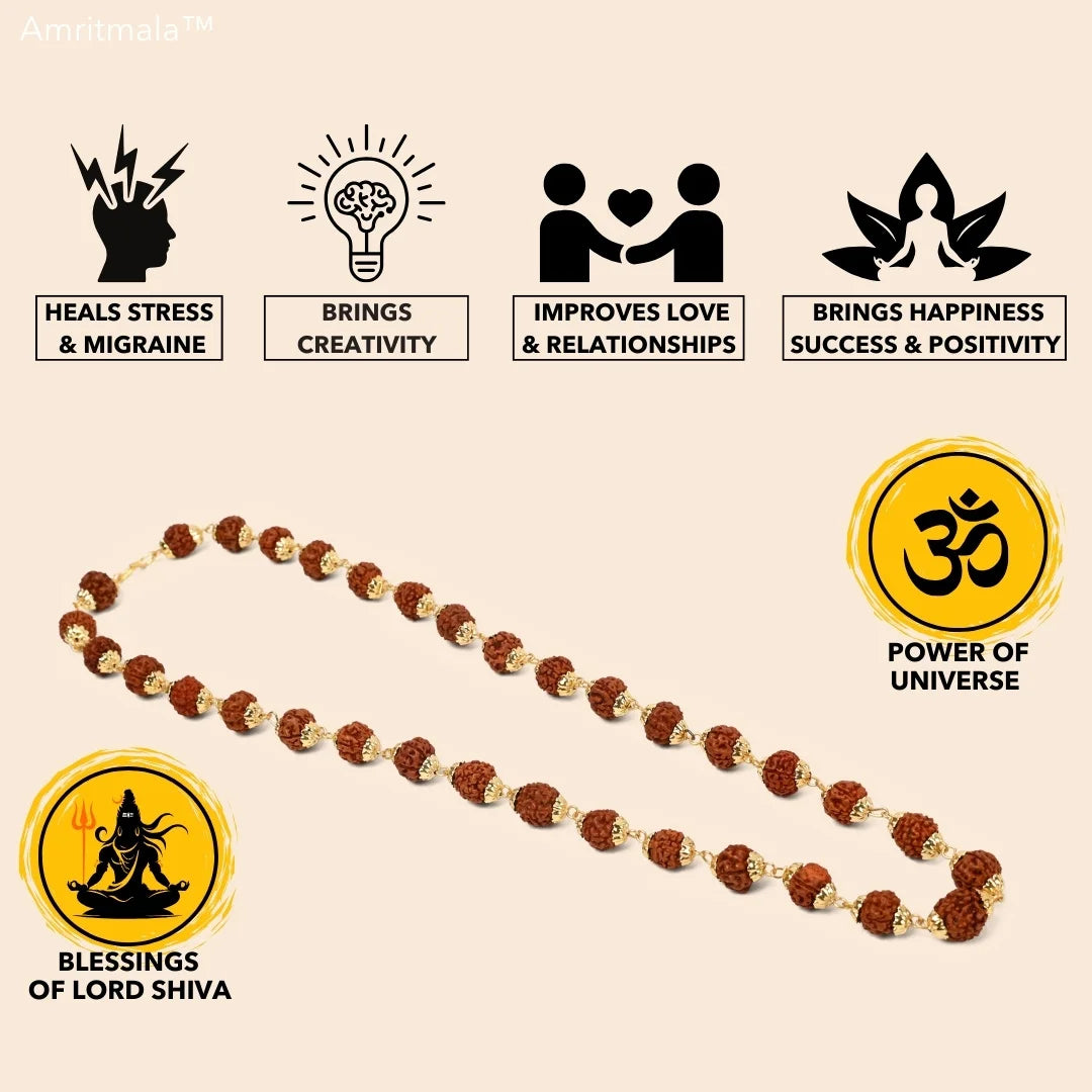 AMRITMALA'S RUDRAKSHA DEVMALA (Boosts Health & Wealth)