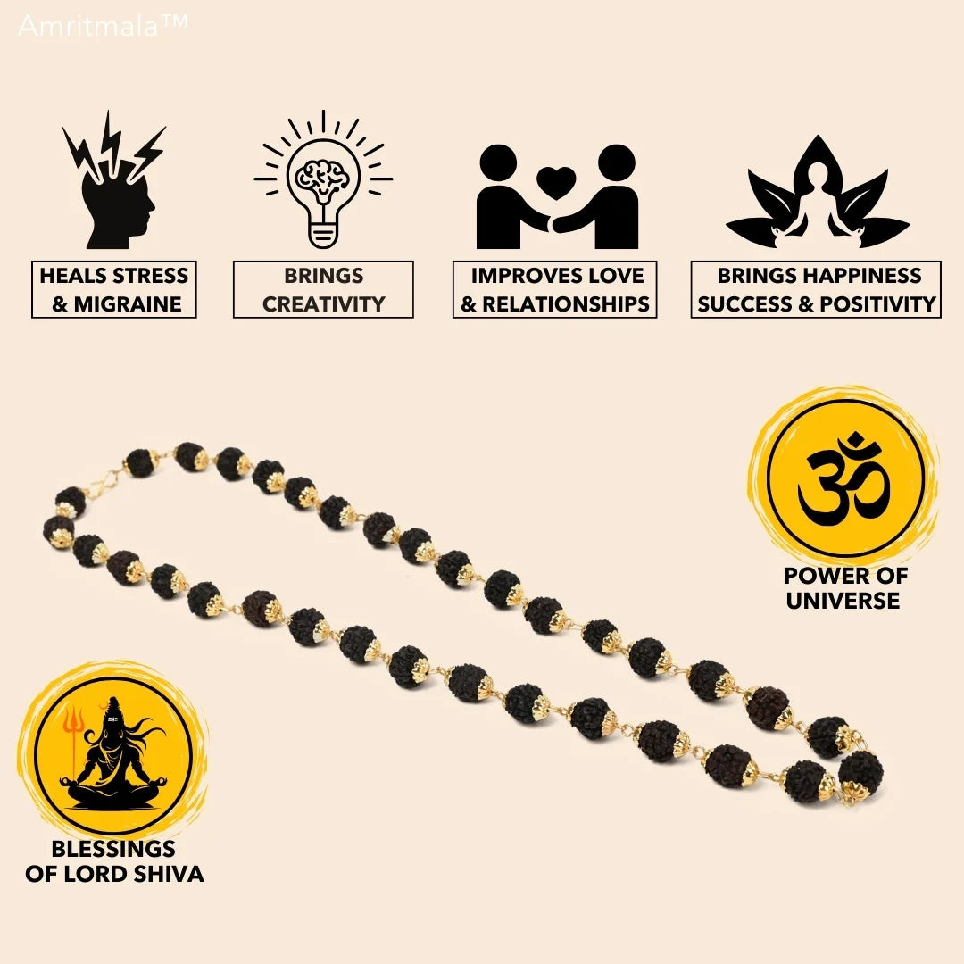 AMRITMALA'S RUDRAKSHA DEVMALA (Black) (Boosts Health & Wealth)