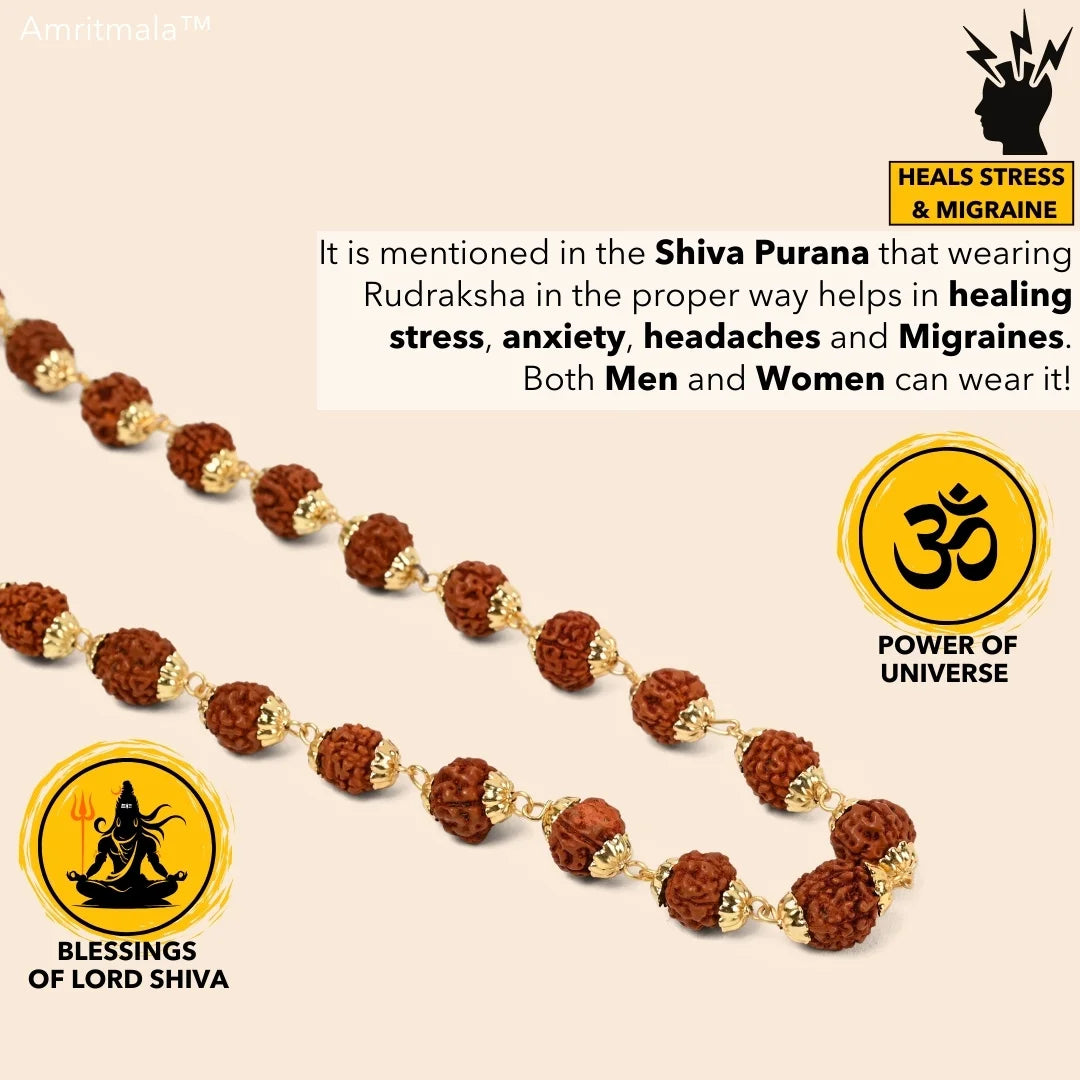 AMRITMALA'S RUDRAKSHA DEVMALA (Boosts Health & Wealth)