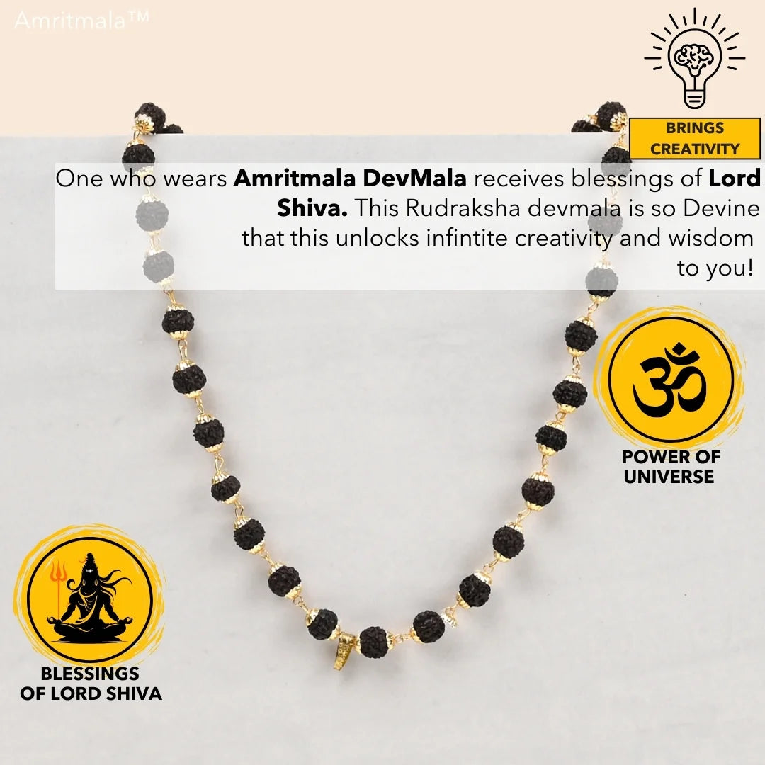 AMRITMALA'S RUDRAKSHA DEVMALA (Black) (Boosts Health & Wealth)