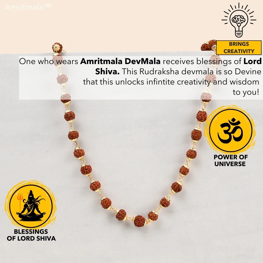 AMRITMALA'S RUDRAKSHA DEVMALA (Boosts Health & Wealth)