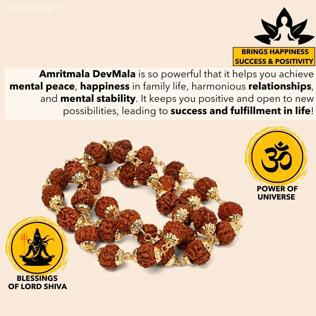 AMRITMALA'S RUDRAKSHA DEVMALA (Boosts Health & Wealth)