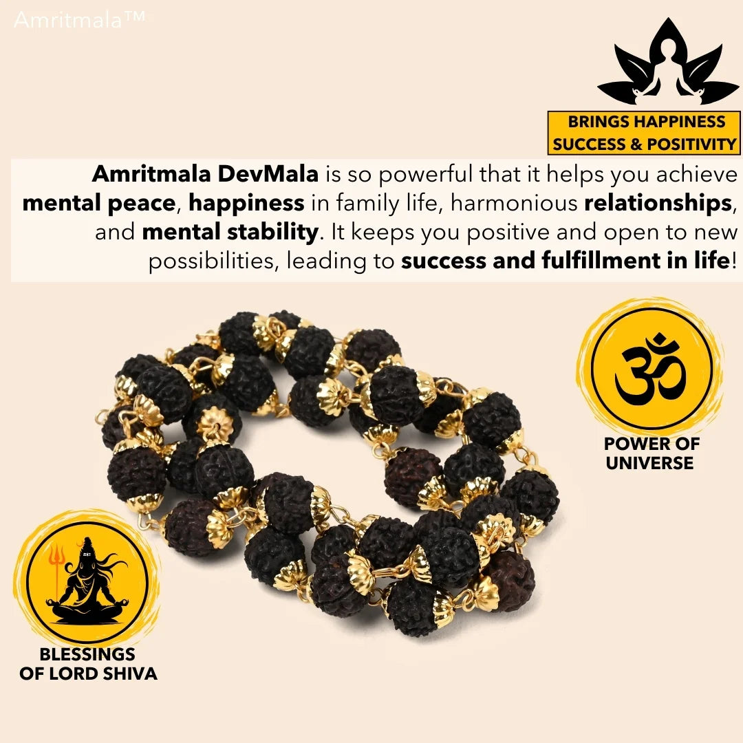 AMRITMALA'S RUDRAKSHA DEVMALA (Black) (Boosts Health & Wealth)