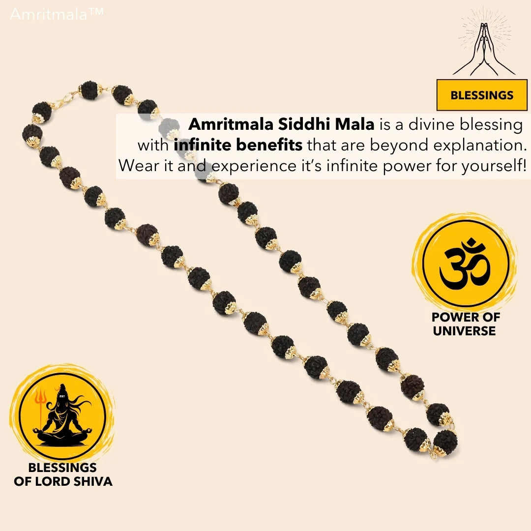 AMRITMALA'S RUDRAKSHA DEVMALA (Black) (Boosts Health & Wealth)