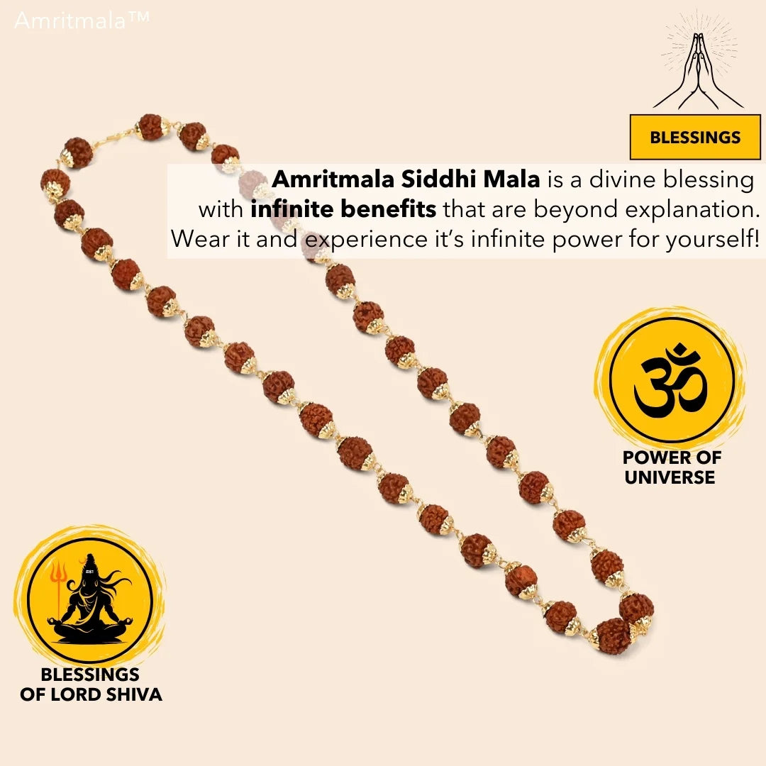 AMRITMALA'S RUDRAKSHA DEVMALA (Boosts Health & Wealth)