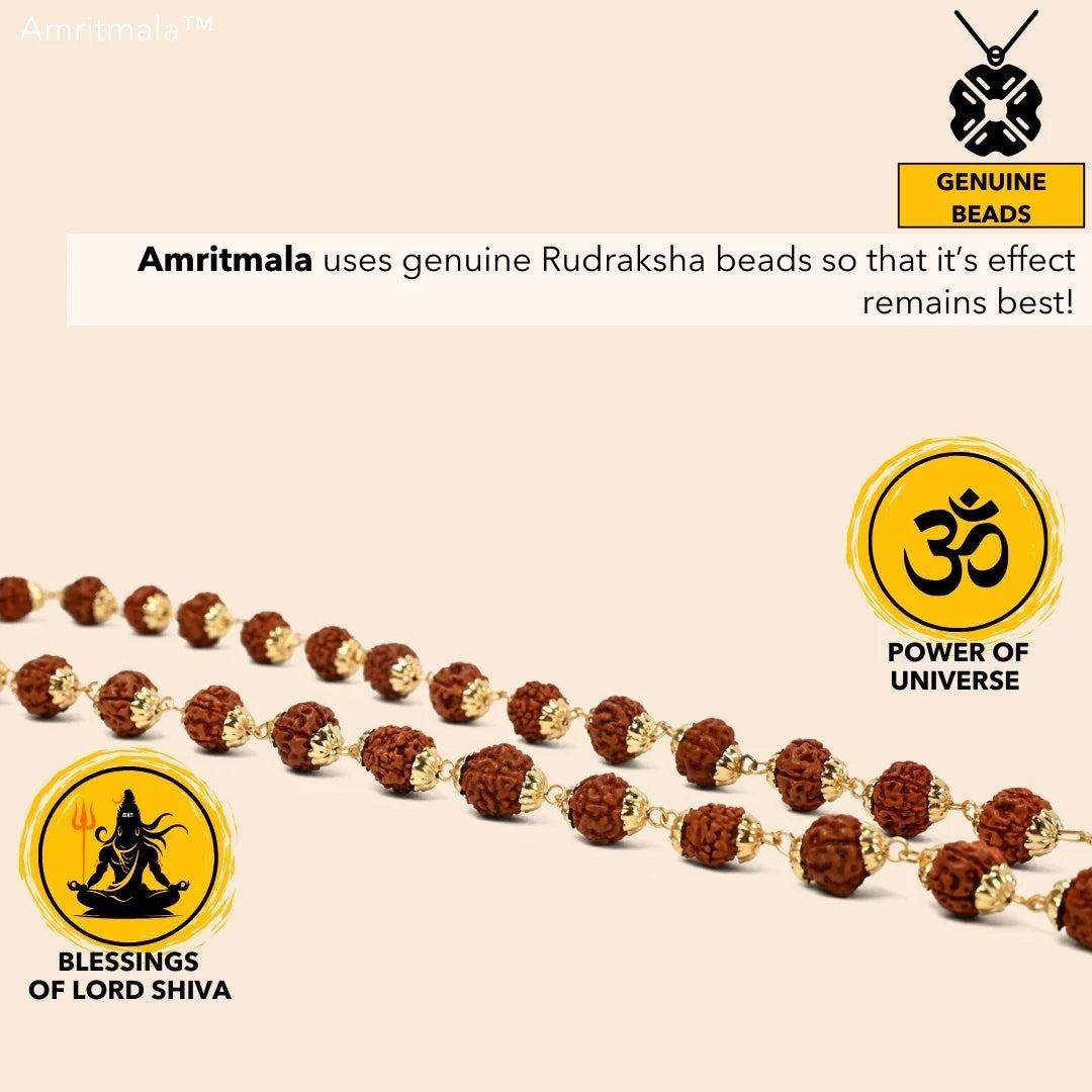 AMRITMALA'S RUDRAKSHA DEVMALA (Boosts Health & Wealth)