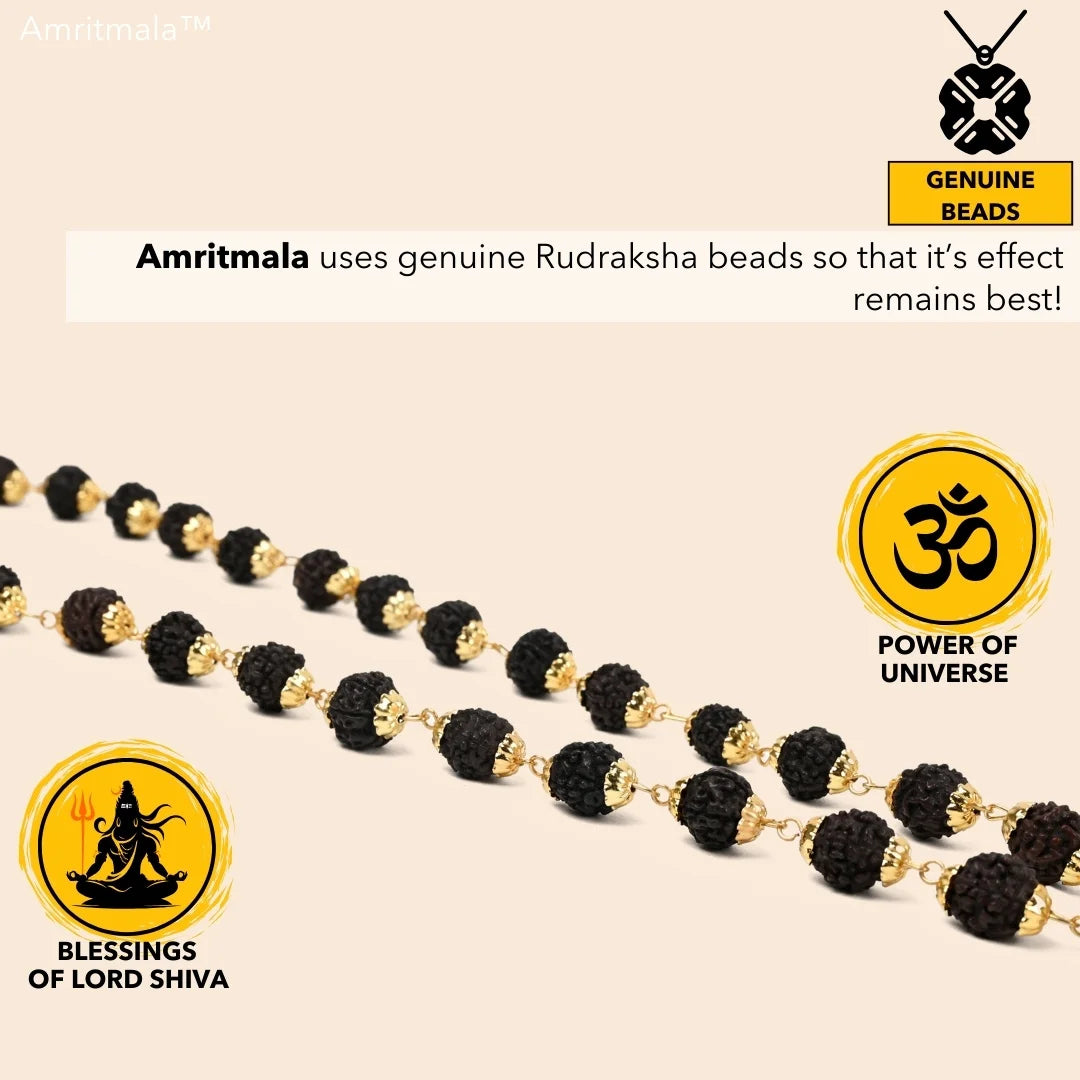 AMRITMALA'S RUDRAKSHA DEVMALA (Black) (Boosts Health & Wealth)